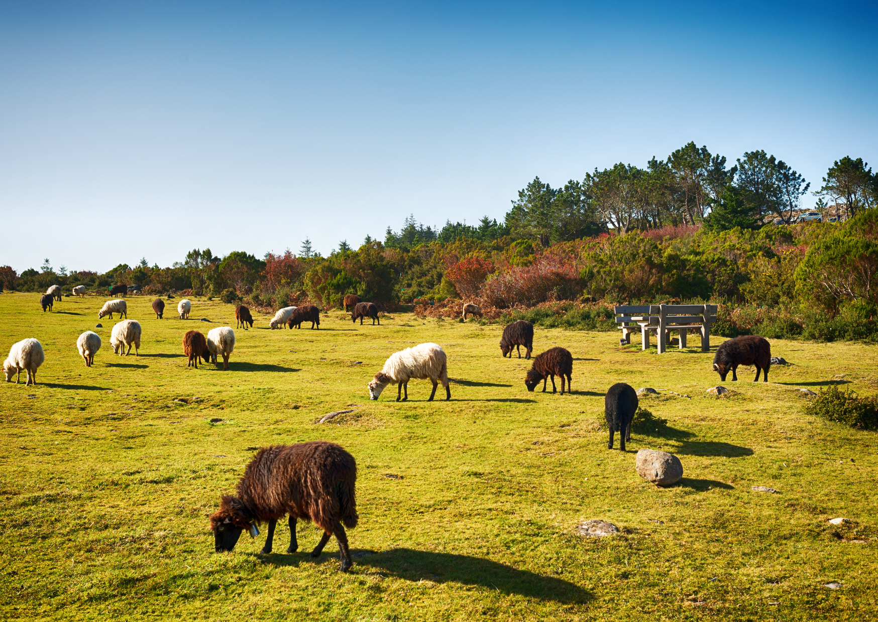 Pico do Arieiro Madeira, Canary Islands vs Madeira, Madeira vs Canary Islands