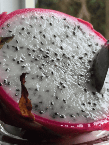 Fruits in Panama - 32 Exotic Panamanian Fruits You Need to Try When in Panama