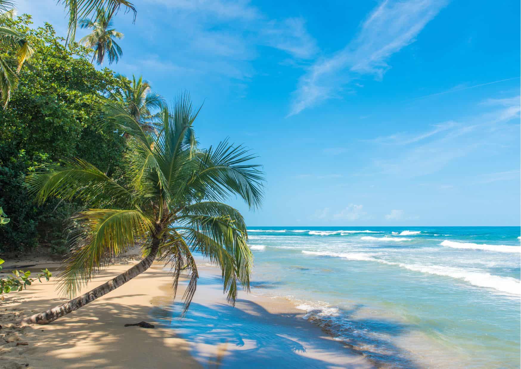 How To Get From Bocas del Toro to Puerto Viejo Best Way – All Possible Ways, Bocas del Toro to Puerto Viejo, Bocas del Toro to Puerto Viejo transfer, cheapest way from Bocas del Toro to Puerto Viejo, bus from Bocas del Toro to Puerto Viejo, from Bocas del Toro to Puerto Viejo by bus, taxi from Bocas del Toro to Puerto Viejo, private transfer from Bocas del Toro to Puerto Viejo, Shared Van from Bocas del Toro to Puerto Viejo, rent a car in Bocas del Toro, bus from Sixaola to Puerto Viejo, bus from Almirante to Sixaola, Bocas del Toro to Almirante, uber from Puerto Viejo to Bocas del Toro, water taxi from Bocas del toro to almirante