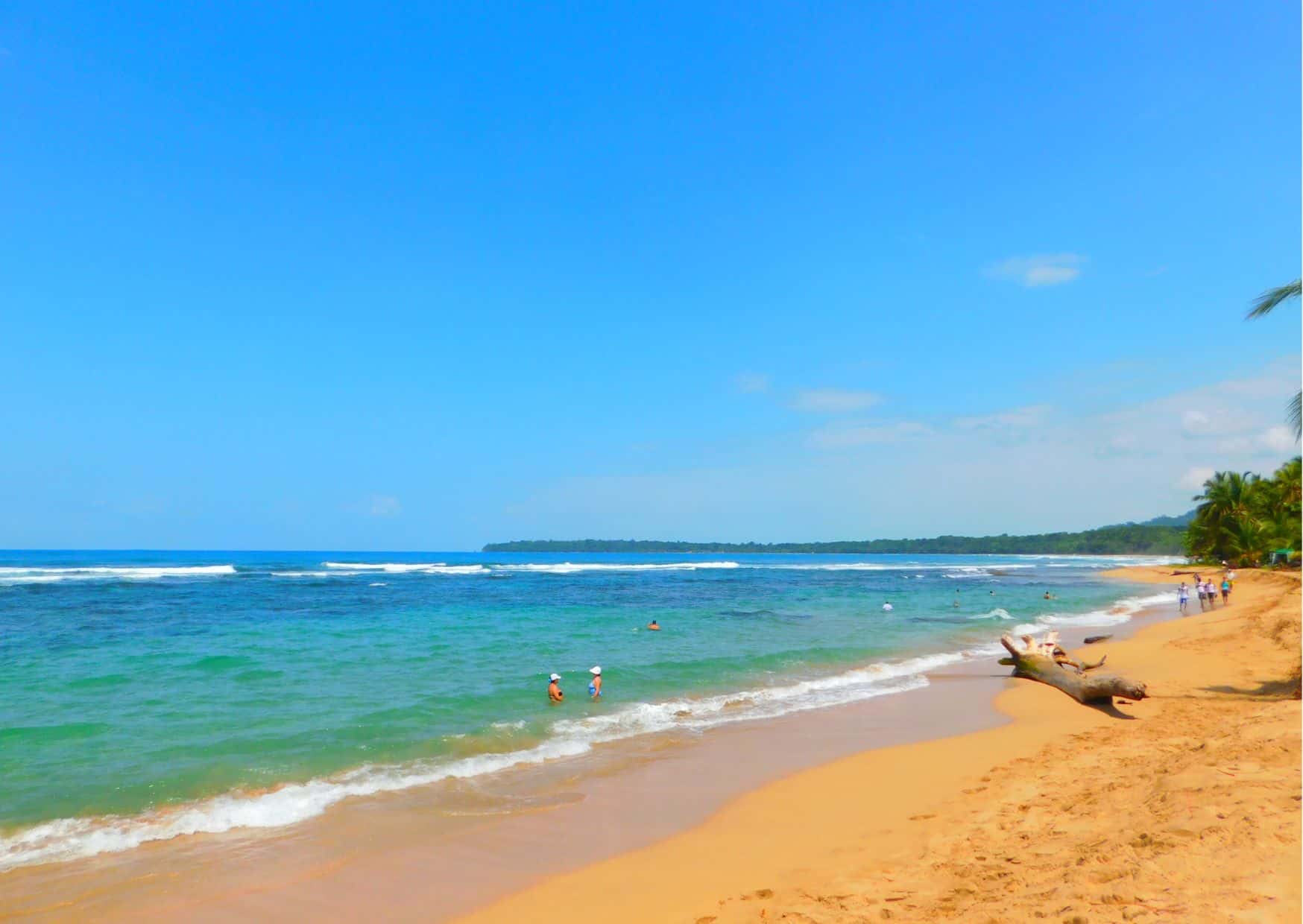 How To Get From San Jose to Punta Uva Best Way – All Possible Ways, San Jose to Punta Uva, San Jose to Punta Uva transfer, cheapest way from San Jose to Punta Uva, bus from San Jose to Punta Uva, from San Jose to Punta Uva by bus, best way from San Jose to Punta Uva, taxi from San Jose to Punta Uva, private transfer from San Jose to Punta Uva, Shared Van from San Jose to Punta Uva, rent a car in San Jose, uber from San Jose to Punta Uva