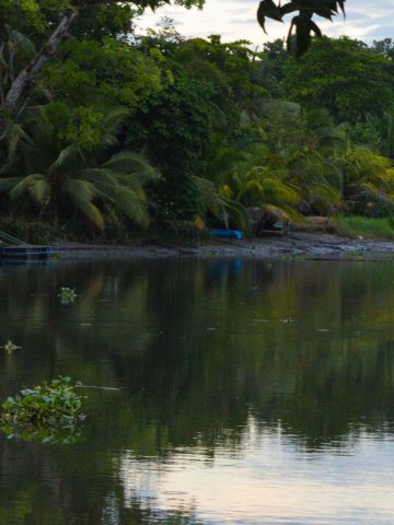 How To Get From Manuel Antonio to Sierpe Best Way – All Possible Ways, Manuel Antonio to Sierpe, Manuel Antonio to Sierpe transfer, cheapest way from Manuel Antonio to Sierpe, bus from Manuel Antonio to Sierpe, from Manuel Antonio to Sierpe by bus, taxi from Manuel Antonio to Sierpe, private transfer from Manuel Antonio to Sierpe, Shared Van from Manuel Antonio to Sierpe, rent a car in Manuel Antonio, uber from Manuel Antonio to Sierpe