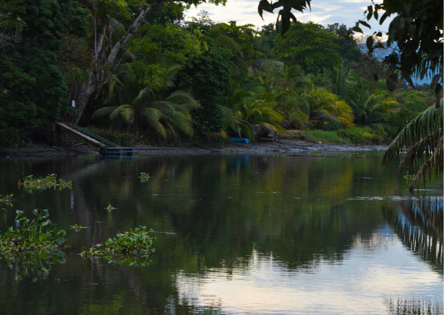 How To Get From Manuel Antonio to Sierpe Best Way – All Possible Ways, Manuel Antonio to Sierpe, Manuel Antonio to Sierpe transfer, cheapest way from Manuel Antonio to Sierpe, bus from Manuel Antonio to Sierpe, from Manuel Antonio to Sierpe by bus, taxi from Manuel Antonio to Sierpe, private transfer from Manuel Antonio to Sierpe, Shared Van from Manuel Antonio to Sierpe, rent a car in Manuel Antonio, uber from Manuel Antonio to Sierpe