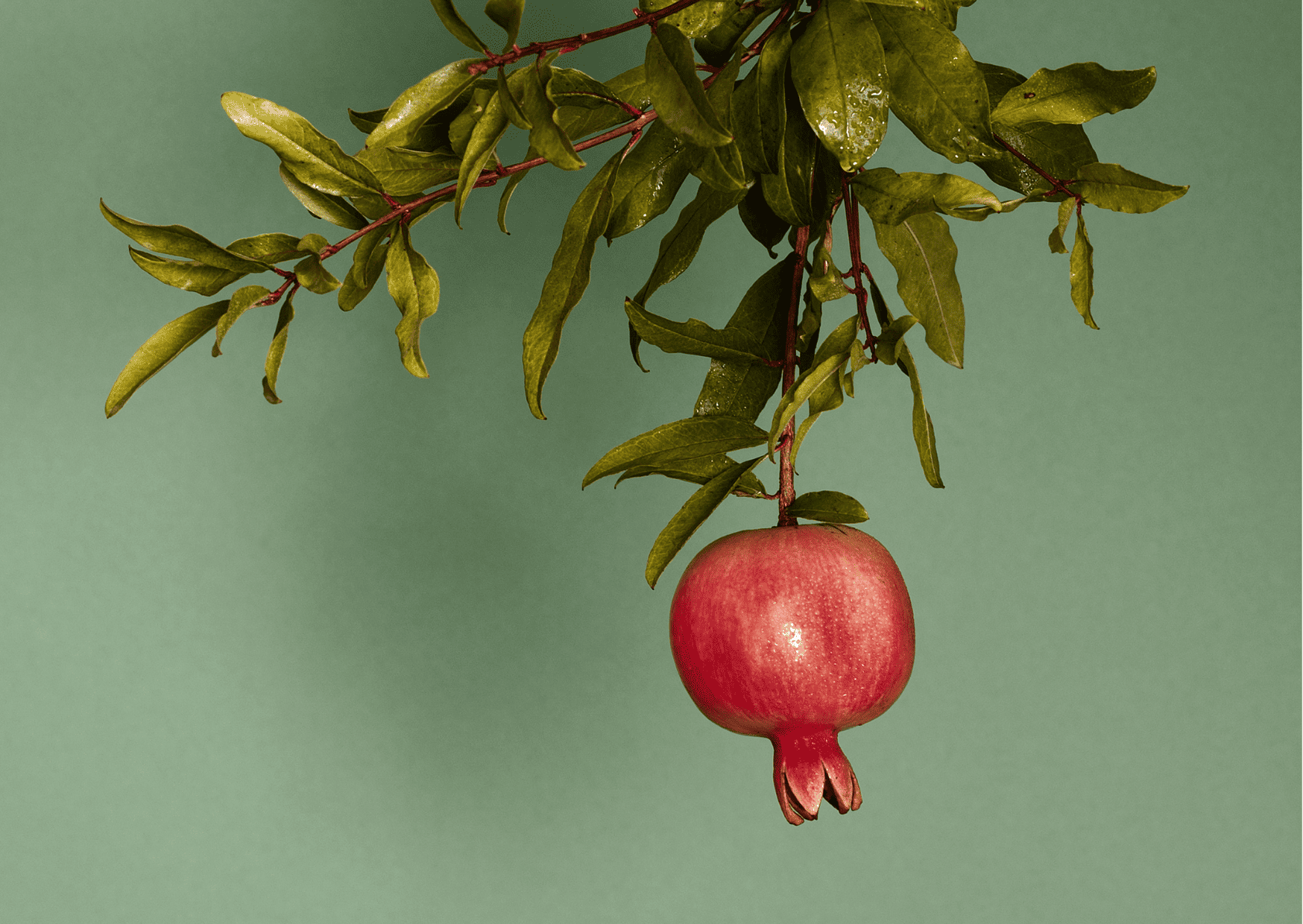 Portuguese Fruits - 30 Portugal Fruits To Not Miss When Visiting