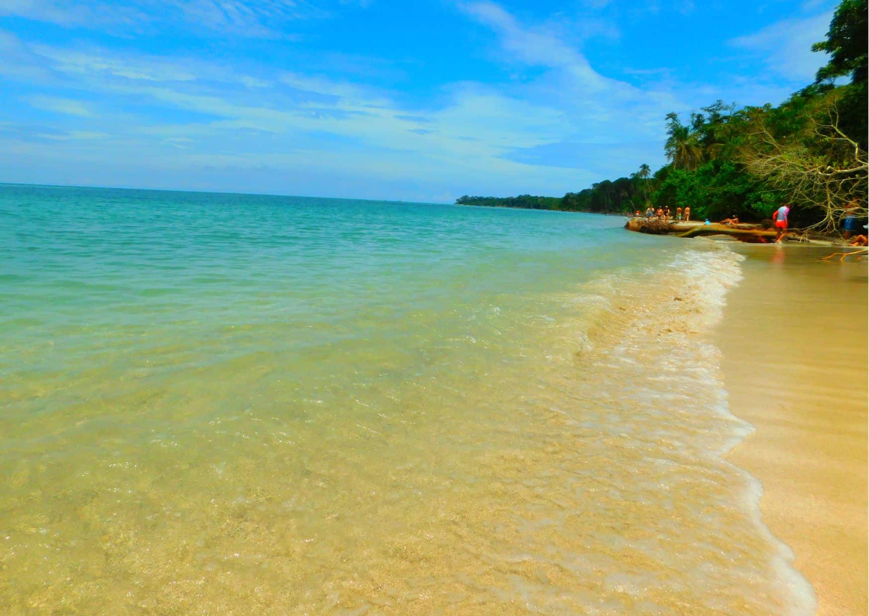 How To Get From La Fortuna to Cahuita Best Way 4 How To Get From La Fortuna to Cahuita Best Way, La Fortuna to Cahuita, cheapest way from La Fortuna to Cahuita, La Fortuna to Cahuita bus, from La Fortuna to Cahuita bus, taxi from La Fortuna to Cahuita, private transfer from La Fortuna to Cahuita, Shared Van La Fortuna to Cahuita, rent a car La Fortuna to Cahuita,