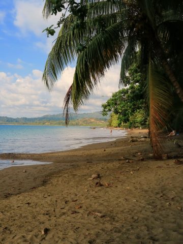 How To Get From Uvita To Drake Bay Best Way, Uvita to Drake Bay, cheapest way from Uvita to Drake Bay, Uvita to Drake Bay by bus, bus from Uvita to Drake Bay, taxi from Uvita to Drake Bay, UBER from Uvita to Drake Bay, private transfer from Uvita to Drake Bay, Shared Van Uvita to Drake Bay, boat from Sierpe to Drake Bay, rent a car in Uvita