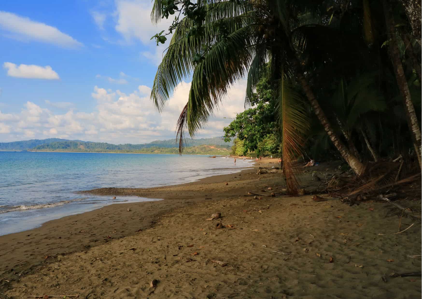 How To Get From Uvita To Drake Bay Best Way, Uvita to Drake Bay, cheapest way from Uvita to Drake Bay, Uvita to Drake Bay by bus, bus from Uvita to Drake Bay, taxi from Uvita to Drake Bay, UBER from Uvita to Drake Bay, private transfer from Uvita to Drake Bay, Shared Van Uvita to Drake Bay, boat from Sierpe to Drake Bay, rent a car in Uvita