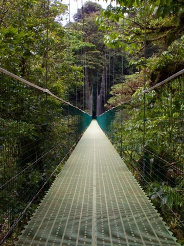 How To Get From Sierpe to Monteverde Best Way, Sierpe to Monteverde, cheapest way from Sierpe to Monteverde, Sierpe to Monteverde by bus, bus from Sierpe to Monteverde, taxi from Sierpe to Monteverde, UBER from Sierpe to Monteverde, private transfer from Sierpe to Monteverde, Shared Van Sierpe to Monteverde, rent a car in Sierpe