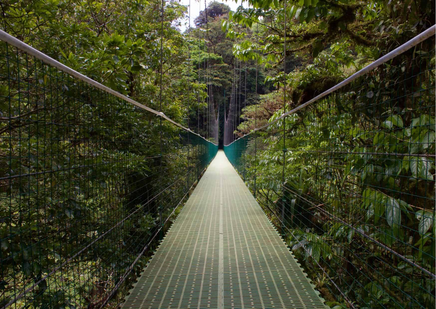 How To Get From Sierpe to Monteverde Best Way, Sierpe to Monteverde, cheapest way from Sierpe to Monteverde, Sierpe to Monteverde by bus, bus from Sierpe to Monteverde, taxi from Sierpe to Monteverde, UBER from Sierpe to Monteverde, private transfer from Sierpe to Monteverde, Shared Van Sierpe to Monteverde, rent a car in Sierpe