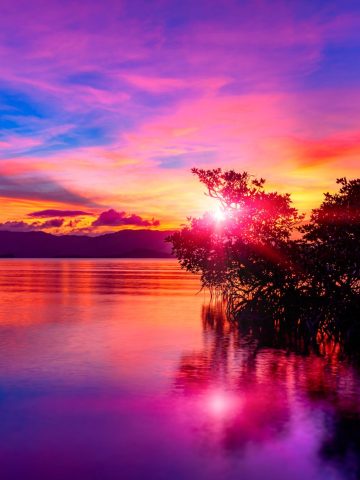 How to get from Puerto Princesa to Port Barton Best Way, puerto princesa to Port Barton, puerto princesa airport to port barton, puerto princesa to Port Barton by van, puerto princesa to Port Barton by bus, puerto princesa to Port Barton travel time, puerto princesa to Port Barton van schedule, how far is puerto princesa to Port Barton, puerto princesa to Port Barton van fare, cheapest way from Puerto Princesa to Port Barton,