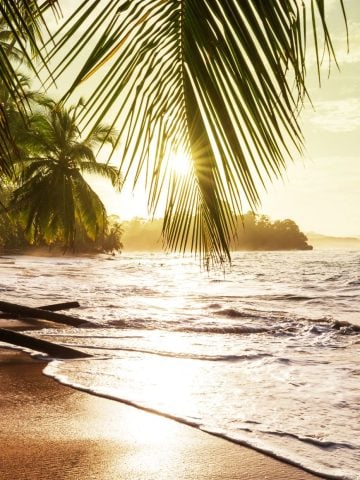 How To Get From Santa Teresa To Samara Best Way, Santa Teresa to Samara, cheapest way from Santa Teresa to Samara, Santa Teresa to Samara bus, from Santa Teresa to Samara bus, taxi from Santa Teresa to Samara, private transfer from Santa Teresa to Samara, Shared Van Santa Teresa to Samara, rent a car Santa Teresa to Samara