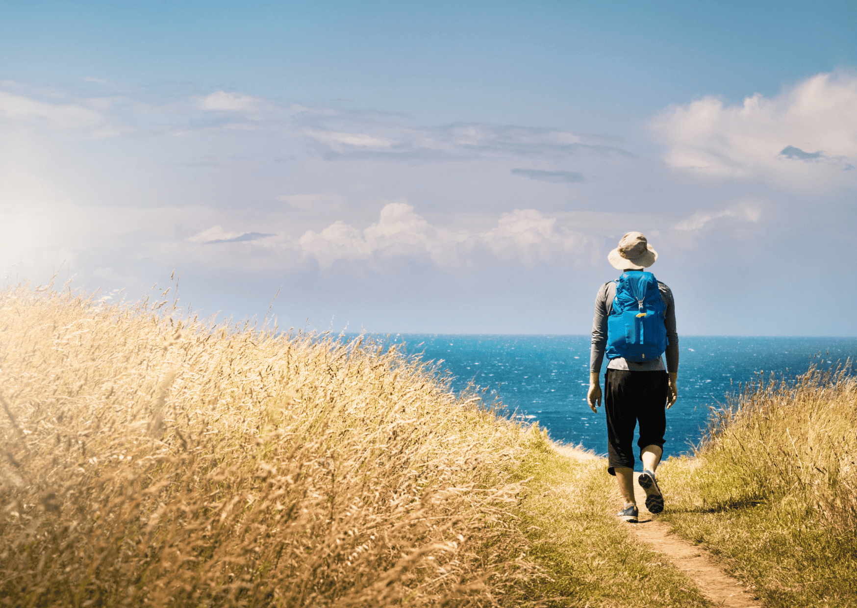 camino de santiago, santiago's road, tu buen camino