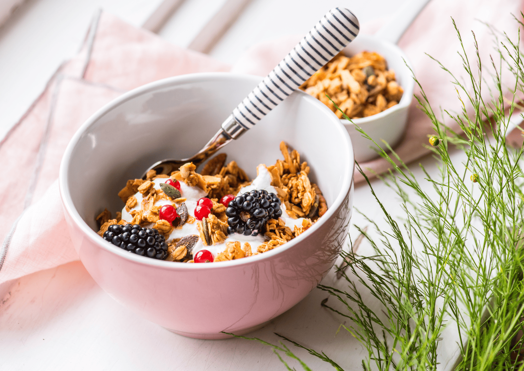 granola and yogurt, kosher breakfast