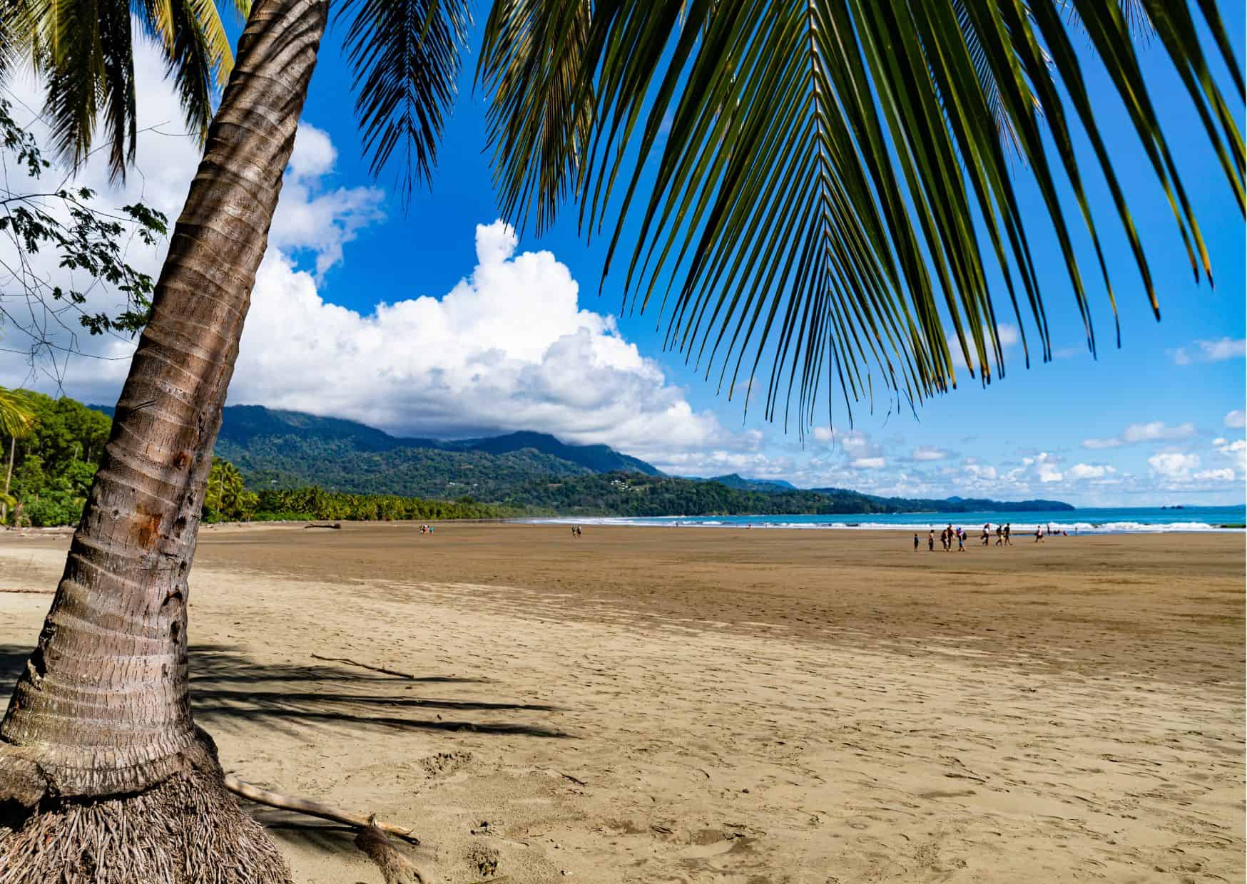 How To Get From San Jose to Ojochal Best Way 4 How To Get From San Jose to Ojochal Best Way, San Jose airport to Ojochal, San Jose to Ojochal, cheapest way from San Jose to Ojochal, San Jose to Ojochal by bus, bus from San Jose to Ojochal, taxi from San Jose to Ojochal, UBER from San Jose to Ojochal, private transfer from San Jose to Ojochal, Shared Van from San Jose to Ojochal, rent a car in San Jose airport,