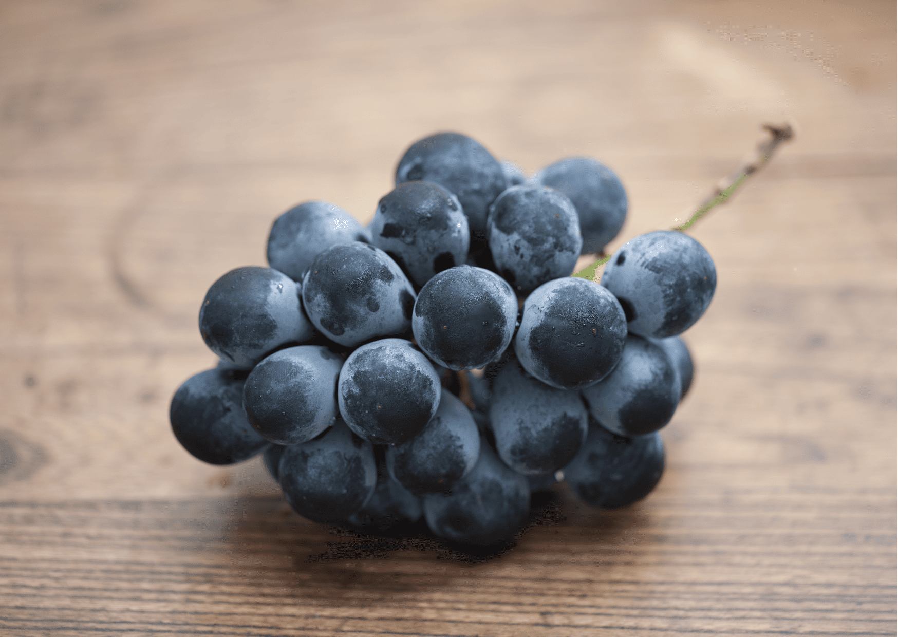 Kyoho (Japanese Mountain Grapes), japan fruits, fruits in japan, traditional fruits in japan to try, traditional japanese fruits