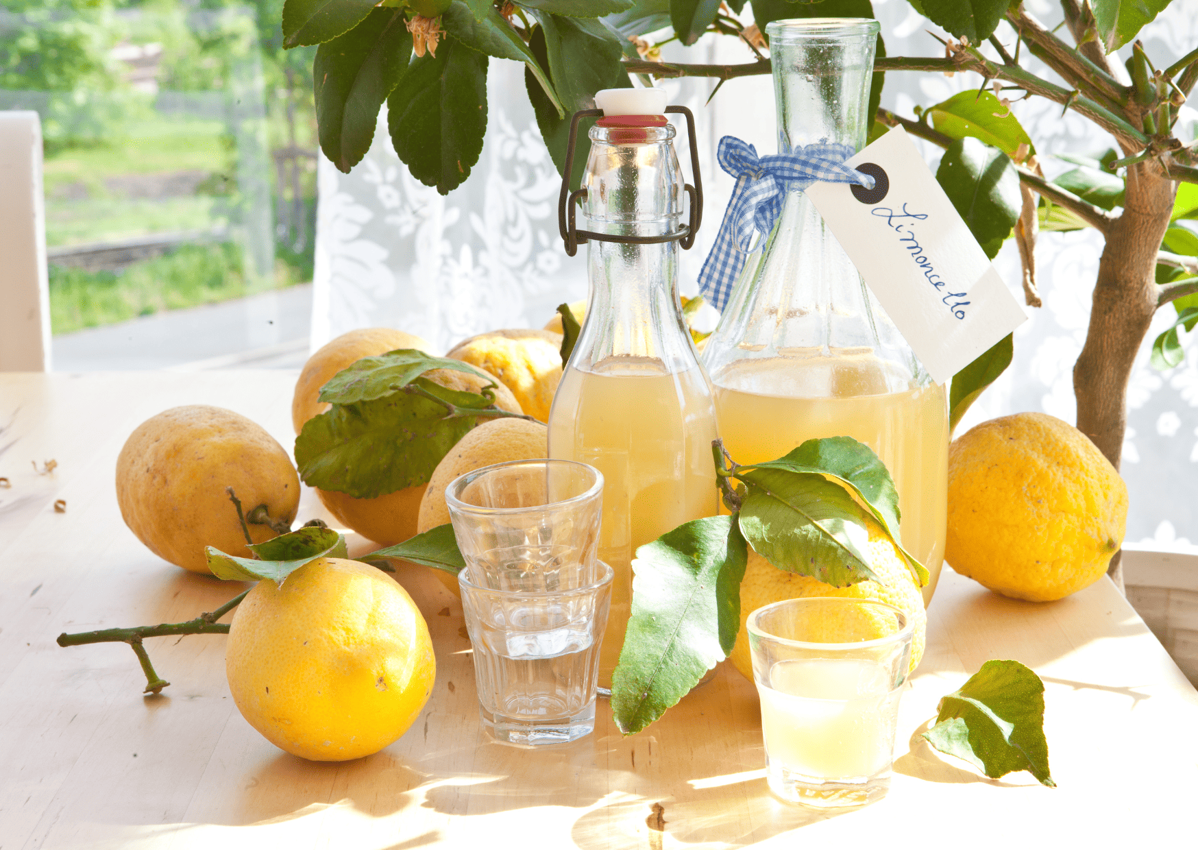 Drinks of Italy: Popular Drinks in Italy to Try 9 Drinks of Italy: Popular Drinks in Italy to Try