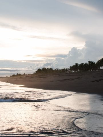 How To Get From Guatemala City to Monterrico Best Way, Guatemala City to Monterrico, cheapest way from Guatemala City to Monterrico, best way from Guatemala City to Monterrico, Guatemala City to Monterrico by bus, bus from Guatemala City to Monterrico, taxi from Guatemala City to Monterrico, private transfer from Guatemala City to Monterrico, Shared Van from Guatemala City to Monterrico, rent a car at Guatemala City, public buses from Guatemala City to Monterrico,