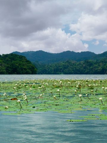 How To Get From Guatemala City to Rio Dulce Best Way, Guatemala City to Rio Dulce, cheapest way from Guatemala City to Rio Dulce, best way from Guatemala City to Rio Dulce, Guatemala City to Rio Dulce by bus, bus from Guatemala City to Rio Dulce, taxi from Guatemala City to Rio Dulce, private transfer from Guatemala City to Rio Dulce, Shared Van from Guatemala City to Rio Dulce, rent a car at Guatemala City, public buses from Guatemala City to Rio Dulce,