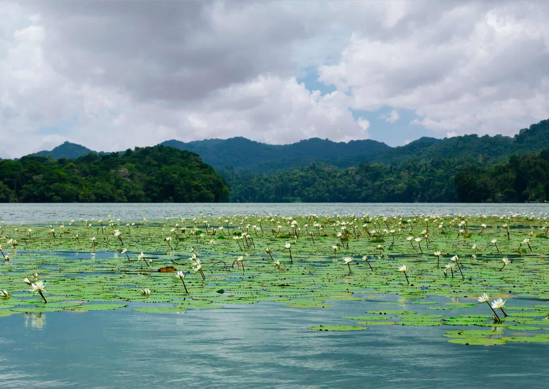 How To Get From Guatemala City to Rio Dulce Best Way, Guatemala City to Rio Dulce, cheapest way from Guatemala City to Rio Dulce, best way from Guatemala City to Rio Dulce, Guatemala City to Rio Dulce by bus, bus from Guatemala City to Rio Dulce, taxi from Guatemala City to Rio Dulce, private transfer from Guatemala City to Rio Dulce, Shared Van from Guatemala City to Rio Dulce, rent a car at Guatemala City, public buses from Guatemala City to Rio Dulce,