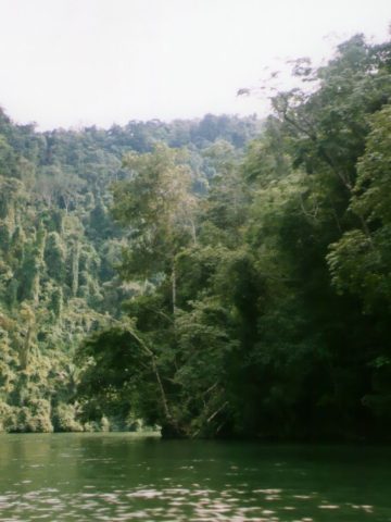 How To Get From Antigua to Rio Dulce Best Way, Antigua to Rio Dulce, cheapest way from Antigua to Rio Dulce, best way from Antigua to Rio Dulce, Antigua to Rio Dulce by bus, bus from Antigua to Rio Dulce, taxi from Antigua to Rio Dulce, private transfer from Antigua to Rio Dulce, Shared Van from Antigua to Rio Dulce, rent a car at Antigua, public buses from Antigua to Rio Dulce,