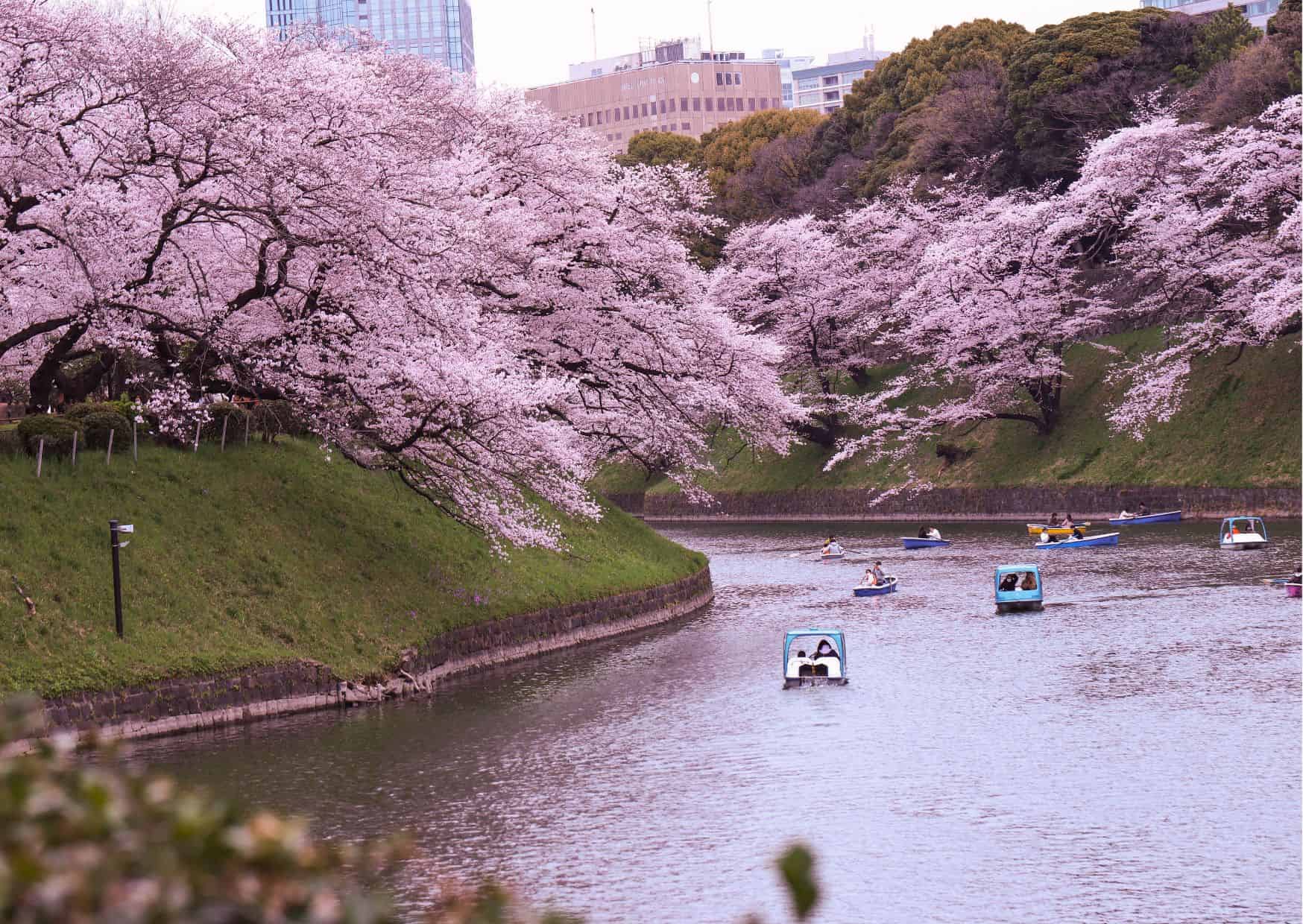 Tokyo Vs Kyoto: The Best and Worst of Japan’s New and Old Capitals