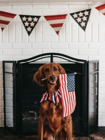 4th of July Breakfast Ideas