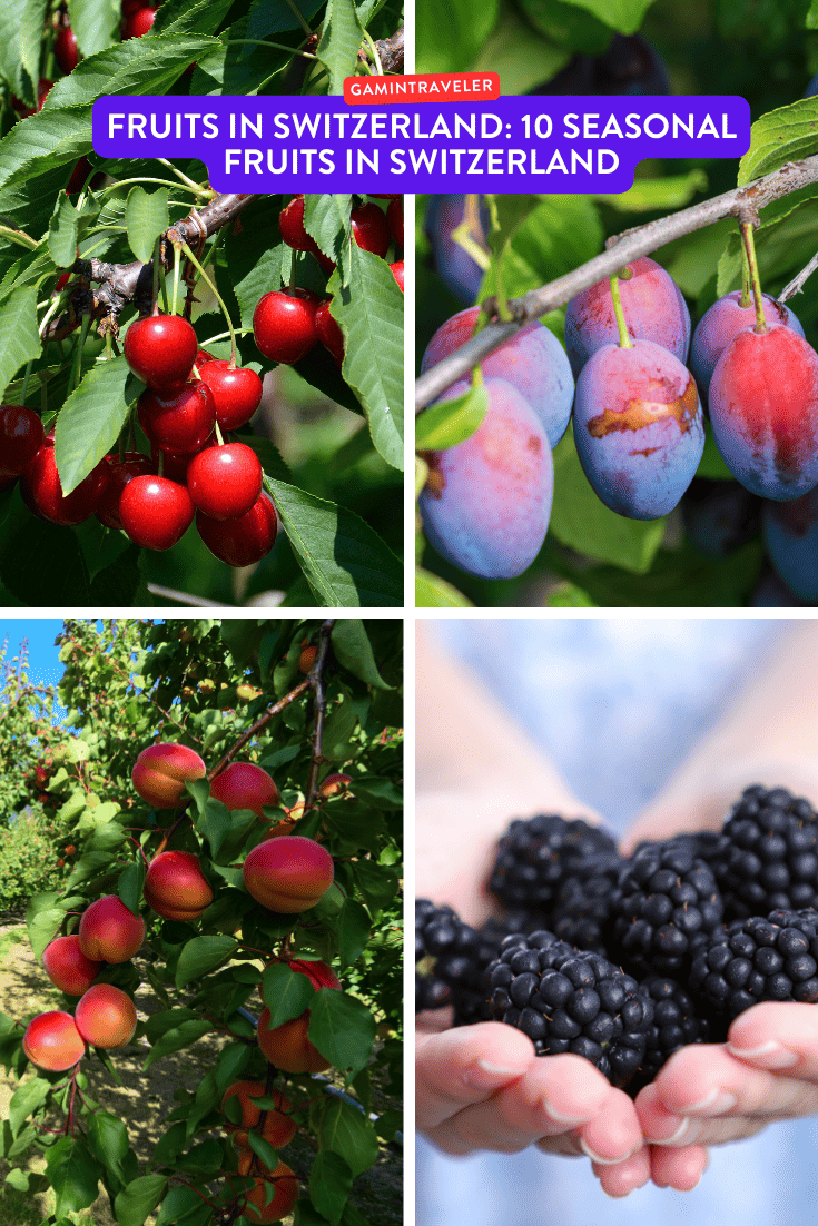 fruits in Switzerland, seasonal fruits in Switzerland, Swiss fruits