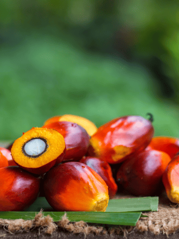 Madagascar Fruits and Vegetables and Exotic Fruits to Try