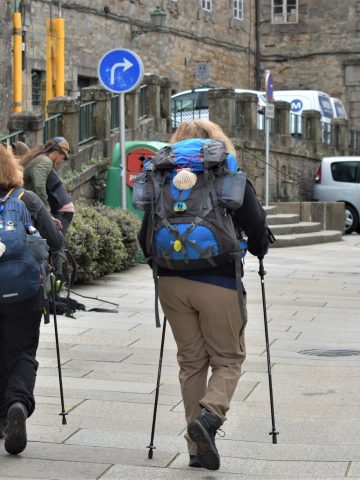 French, Spanish Or Portuguese Camino de Santiago: Which Is the Best Route?, A Comprehensive Guide to the Camino Francés Route