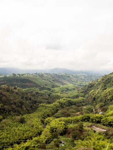 How To Get From Bogota to Armenia Best Way, best way from Bogota to Armenia, cheapest way from Bogota to Armenia, Bogota to Armenia, bus from Bogota to Armenia, by plane from Bogota to Armenia, Bogota to Armenia by van, Bogota to Armenia by bus,