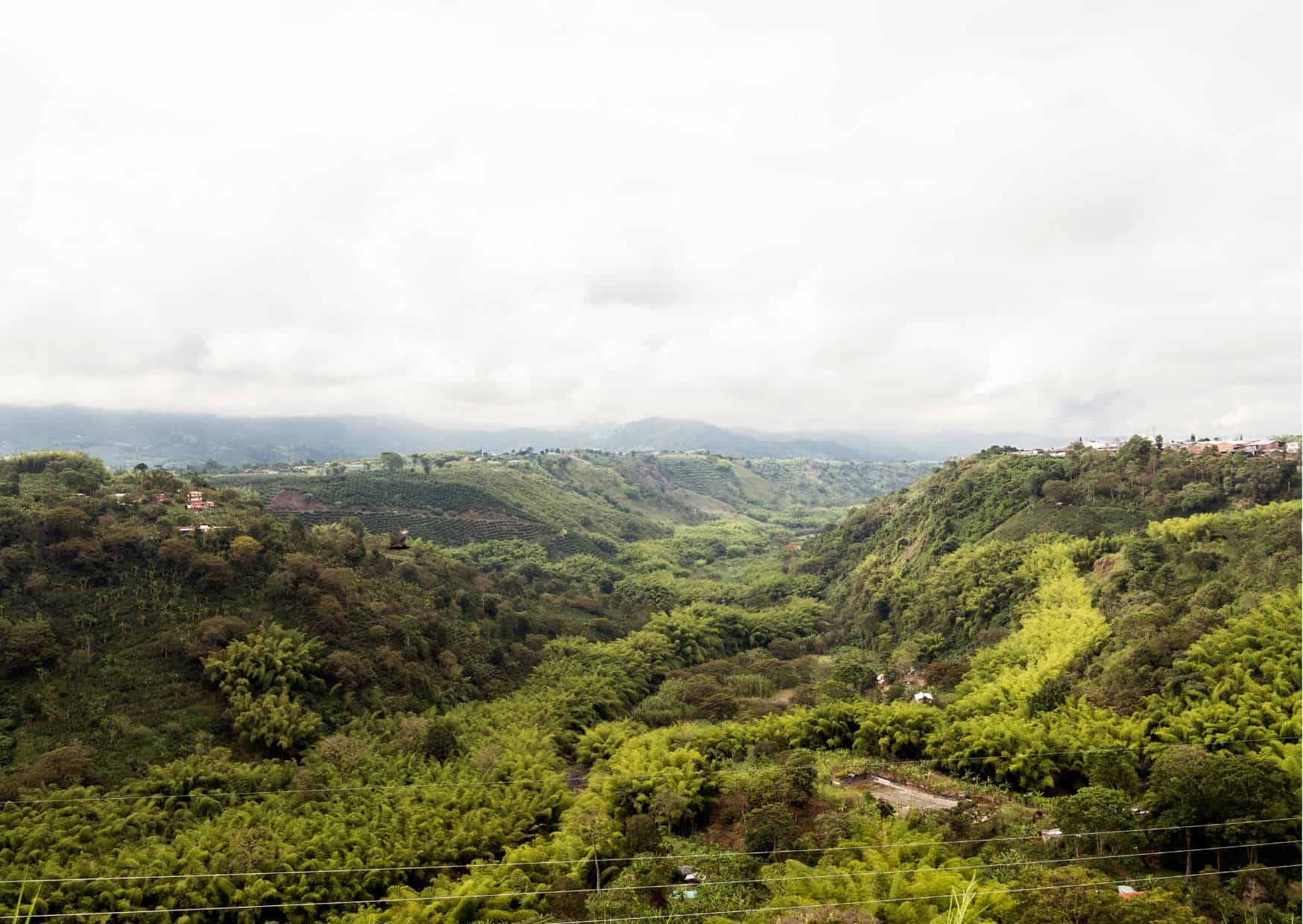 How To Get From Bogota to Armenia Best Way, best way from Bogota to Armenia, cheapest way from Bogota to Armenia, Bogota to Armenia, bus from Bogota to Armenia, by plane from Bogota to Armenia, Bogota to Armenia by van, Bogota to Armenia by bus,