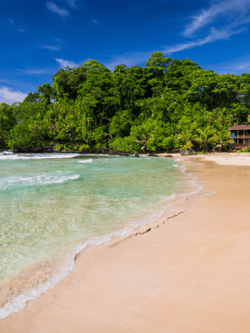 Forget About Cancun Mexico and Visit These 13 Countries Instead, Best Bocas del Toro Tours: Top Guide to Bocas del Toro Tours