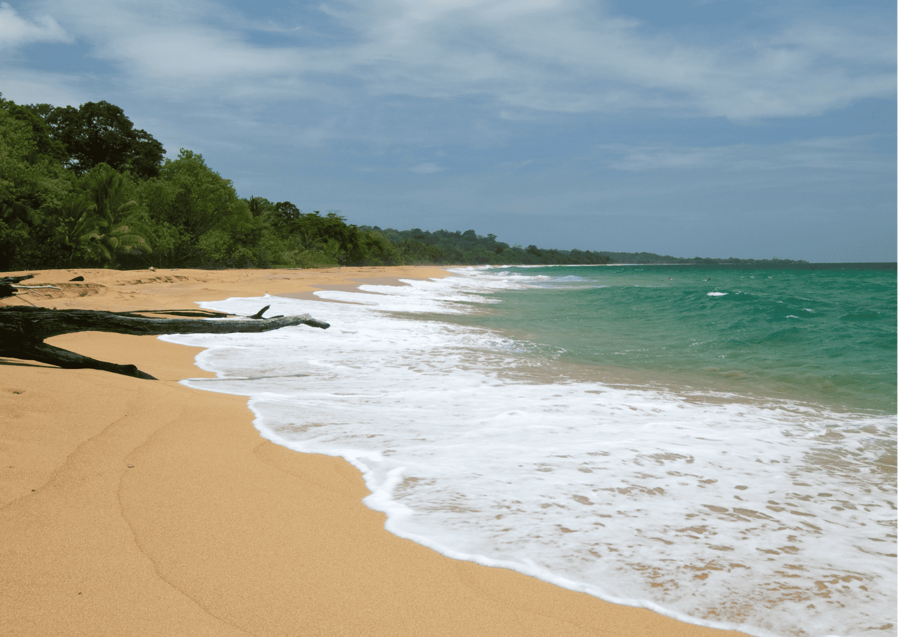 9 Best Tropical Places for Living That Make You Fall In Love, Best Bocas del Toro Tours: Top Guide to Bocas del Toro Tours