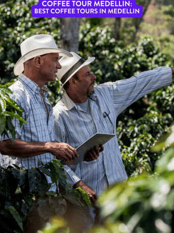 Coffee Tour Medellin: Best Coffee Tours in Medellin