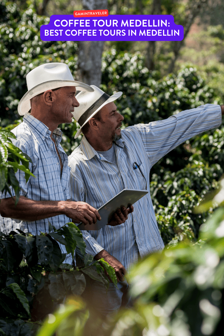 coffee tour medellin, coffee tours in medellin, best coffee tours in medellin