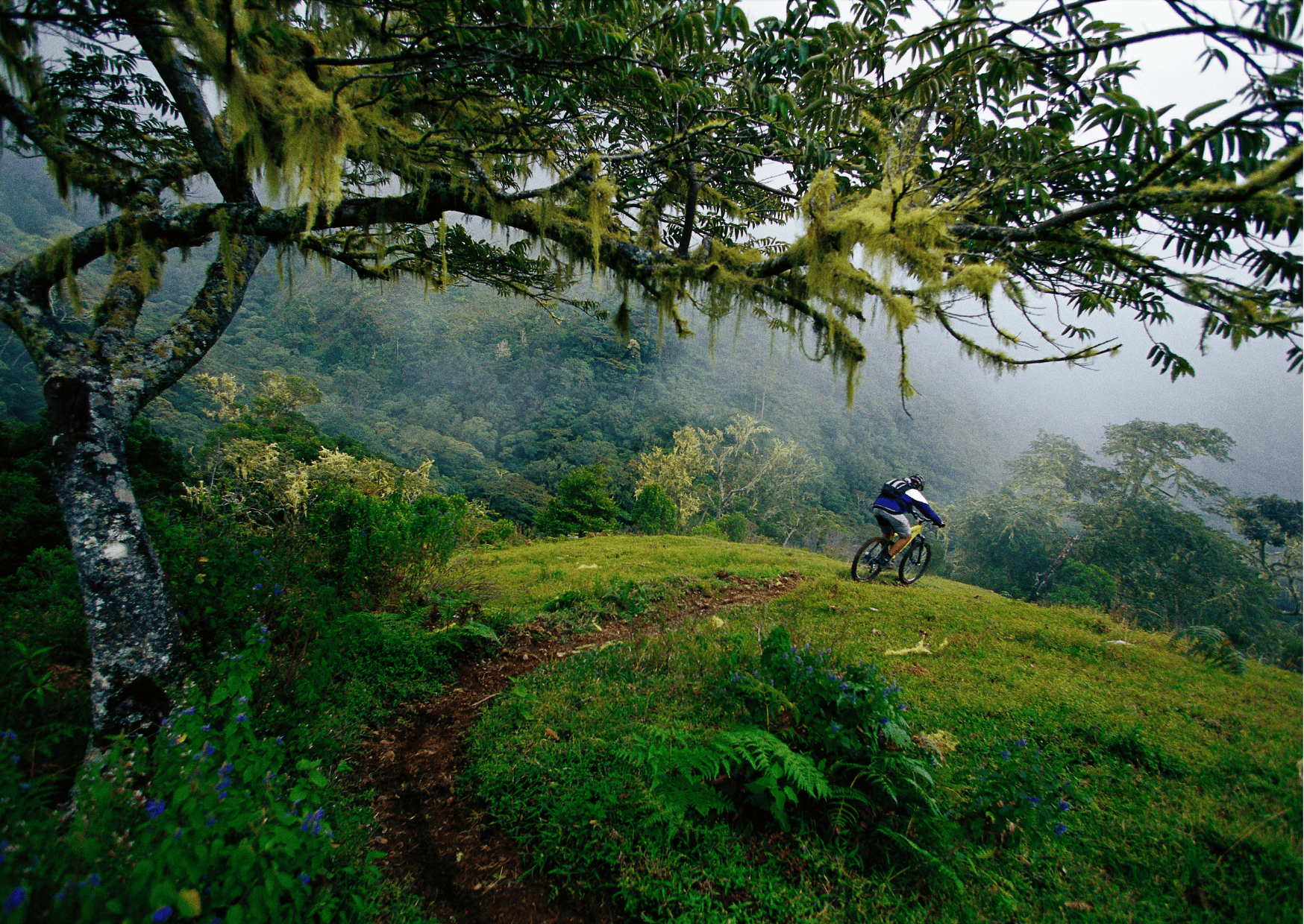 Costa Rica Dirt Bike Tours: Adventure Tours in Costa Rica