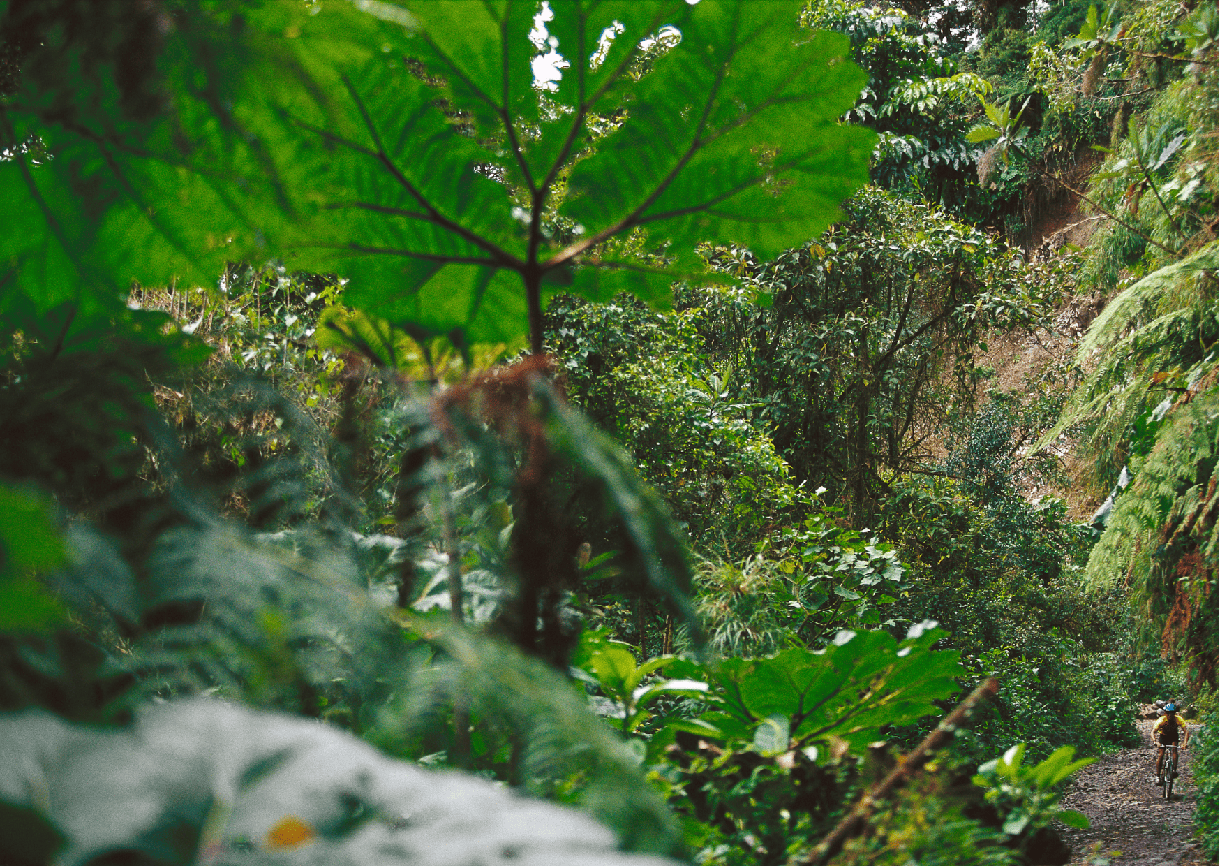 Costa Rica Dirt Bike Tours: Adventure Tours in Costa Rica