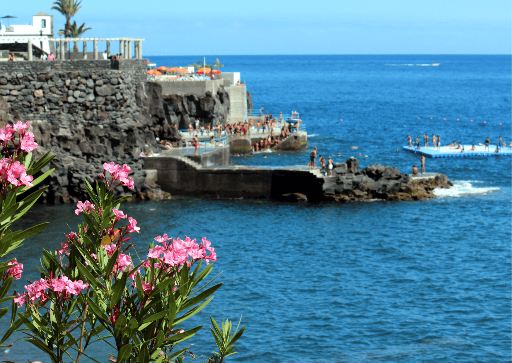 Funchal Madeira Algarve vs Madeira Madeira vs Algarve