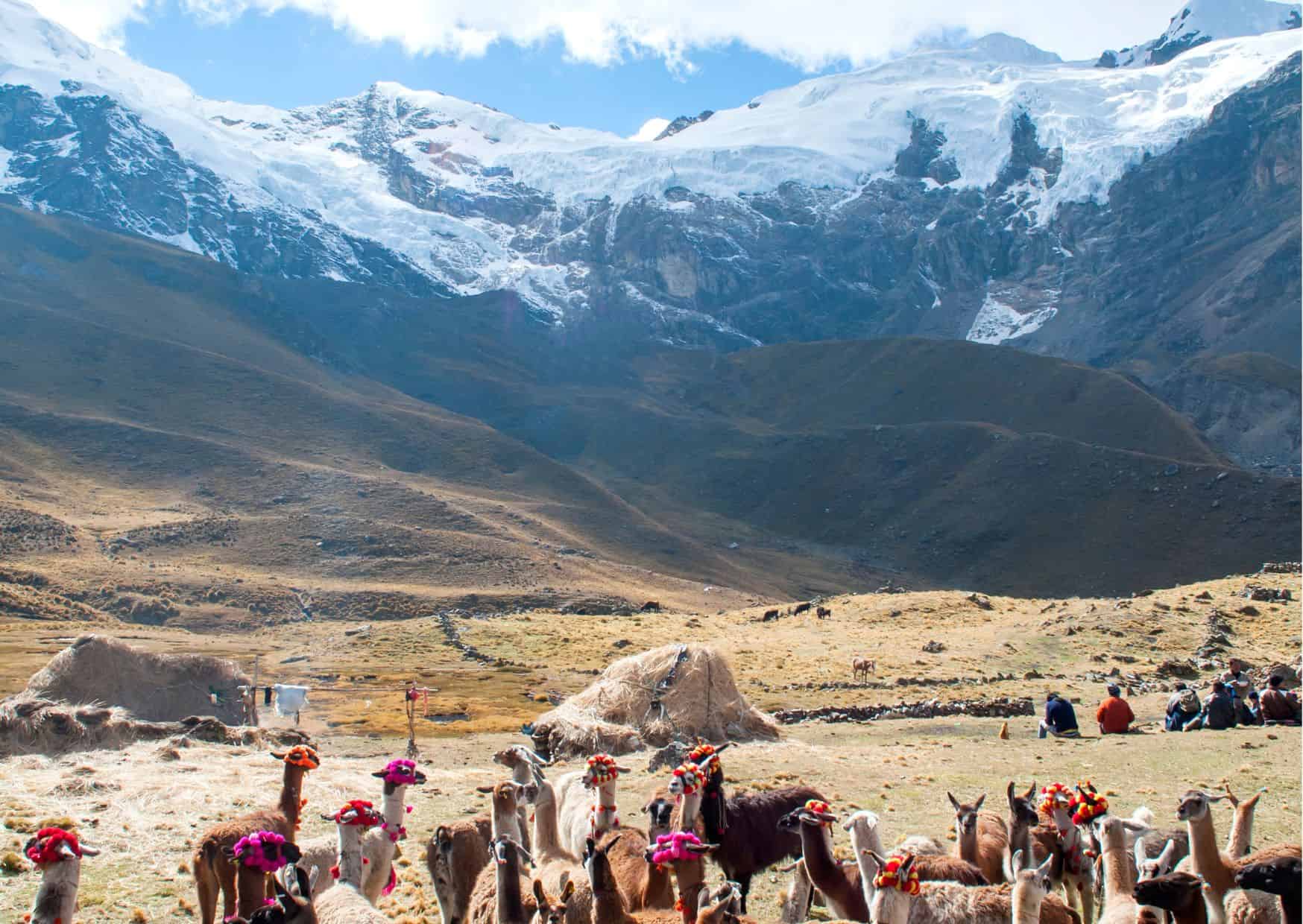 How To Get From Lima to Huancayo Best Way, cheapest way from Lima to Huancayo, Lima to Huancayo, bus from Lima to Huancayo, by plane from Lima to Huancayo, best way from Lima to Huancayo, taxi from Lima to Huancayo