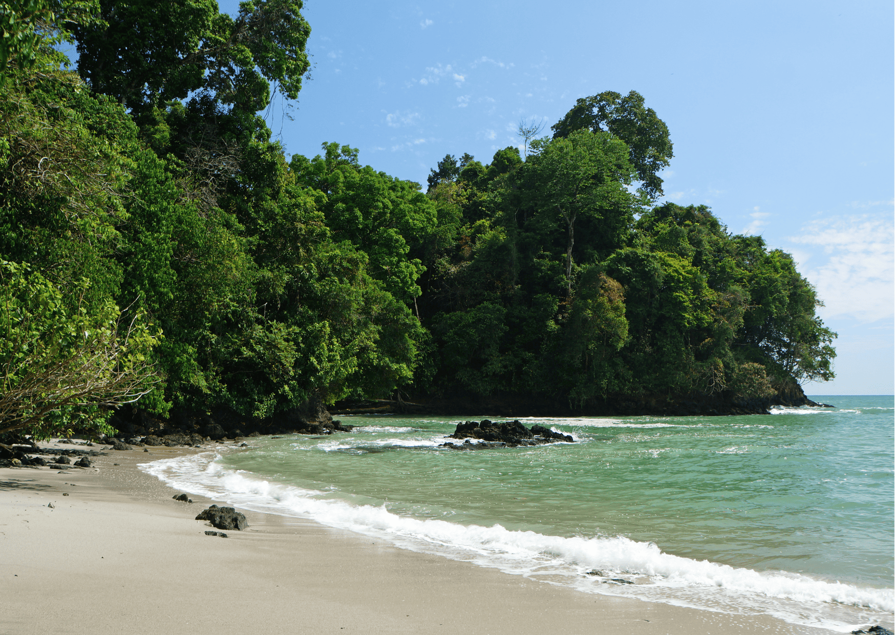 manuel Antonio surfing, Best Manuel Antonio Surfing Lessons and Things To Do