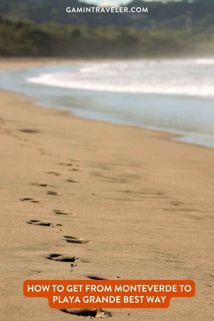 How To Get From Monteverde to Playa Grande Best Way, best way from Monteverde to Playa Grande, cheapest way from Monteverde to Playa Grande, Monteverde to Playa Grande, bus from Monteverde to Playa Grande, by van from Monteverde to Playa Grande, Monteverde to Playa Grande by van, 
