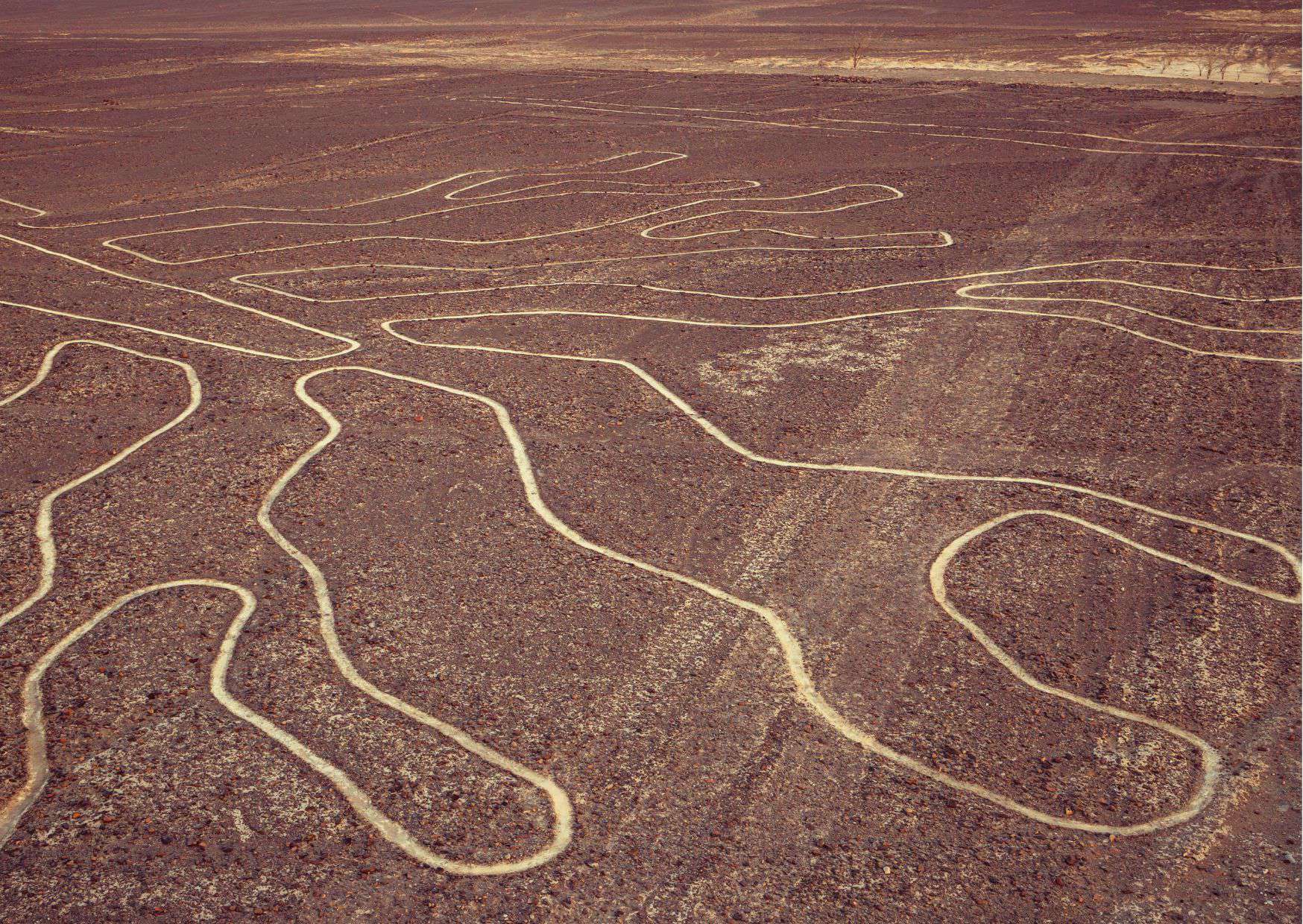 How To Get From Lima to Nazca Best Way, cheapest way from Lima to Nazca, Lima to Nazca, bus from Lima to Nazca, by plane from Lima to Nazca, best way from Lima to Nazca, taxi from Lima to Nazca