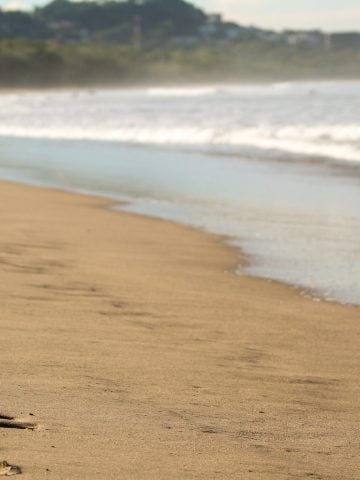 How To Get From Monteverde to Playa Grande Best Way, best way from Monteverde to Playa Grande, cheapest way from Monteverde to Playa Grande, Monteverde to Playa Grande, bus from Monteverde to Playa Grande, by van from Monteverde to Playa Grande, Monteverde to Playa Grande by van,