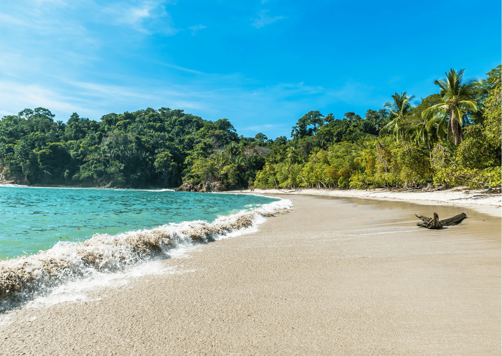 Best Beaches in the World, Ultimate Guide to Best Tours in Manuel Antonio Costa Rica