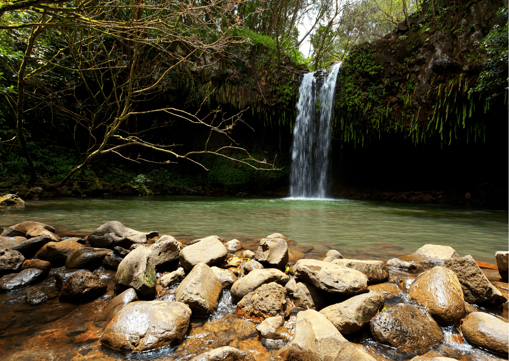 Waterfall Maui Hike: Top Hiking Trails in Maui to Visit