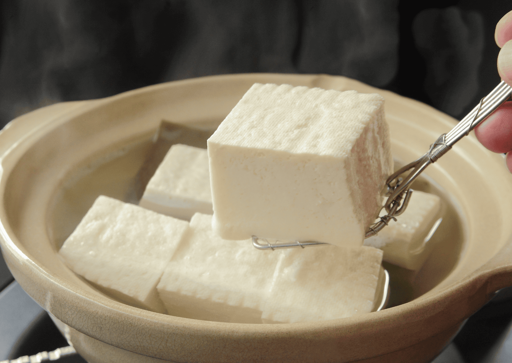 yudofu, vegan food Kyoto, Vegan Restaurants Kyoto