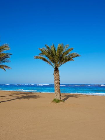 How To Get From Valencia Airport To Denia Best Way, cheapest way from Valencia Airport to Denia, Valencia Airport to Denia, shuttle bus from Valencia Airport to Denia, taxi from Valencia Airport to Denia, Uber from Valencia Airport to Denia, Valencia Airport to Denia by bus, bus fare from Valencia Airport to Denia, best way from Valencia Airport to Denia, train from Valencia Airport to Denia