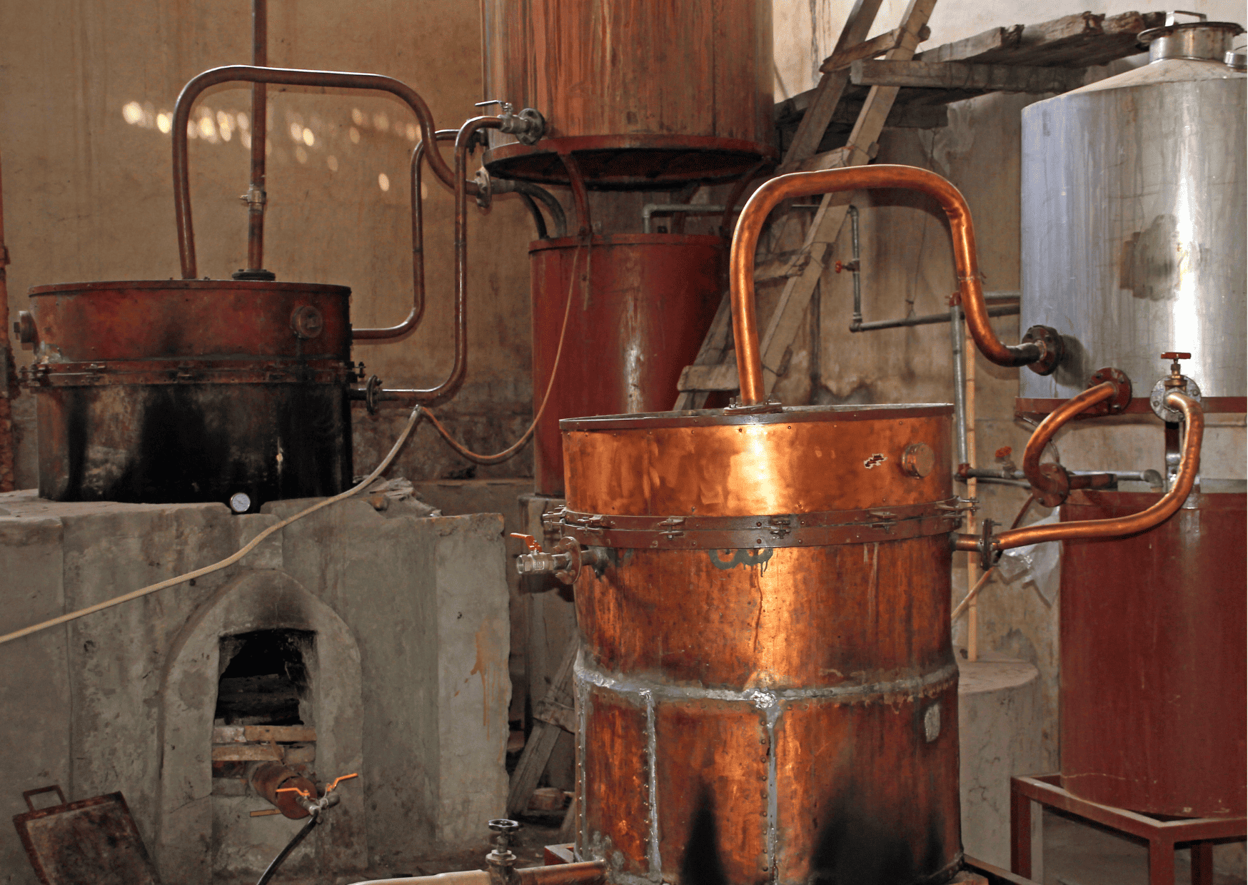 South American Drinks, Drinks in South America You Absolutely Need to Try