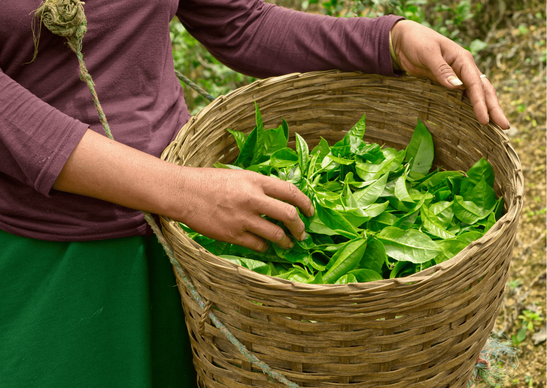 South American Drinks, Drinks in South America You Absolutely Need to Try