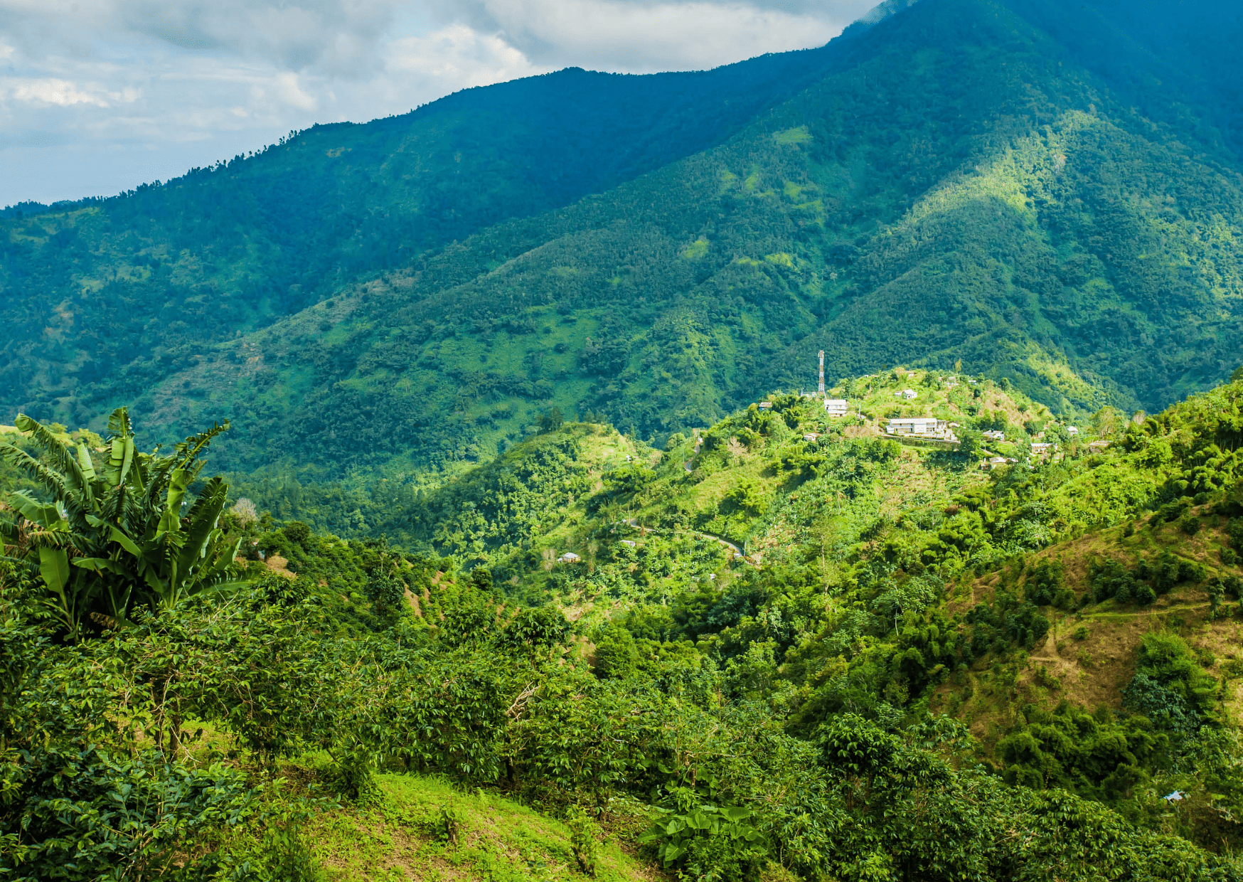 Blue Mountains in Jamaica Antigua vs Jamaica