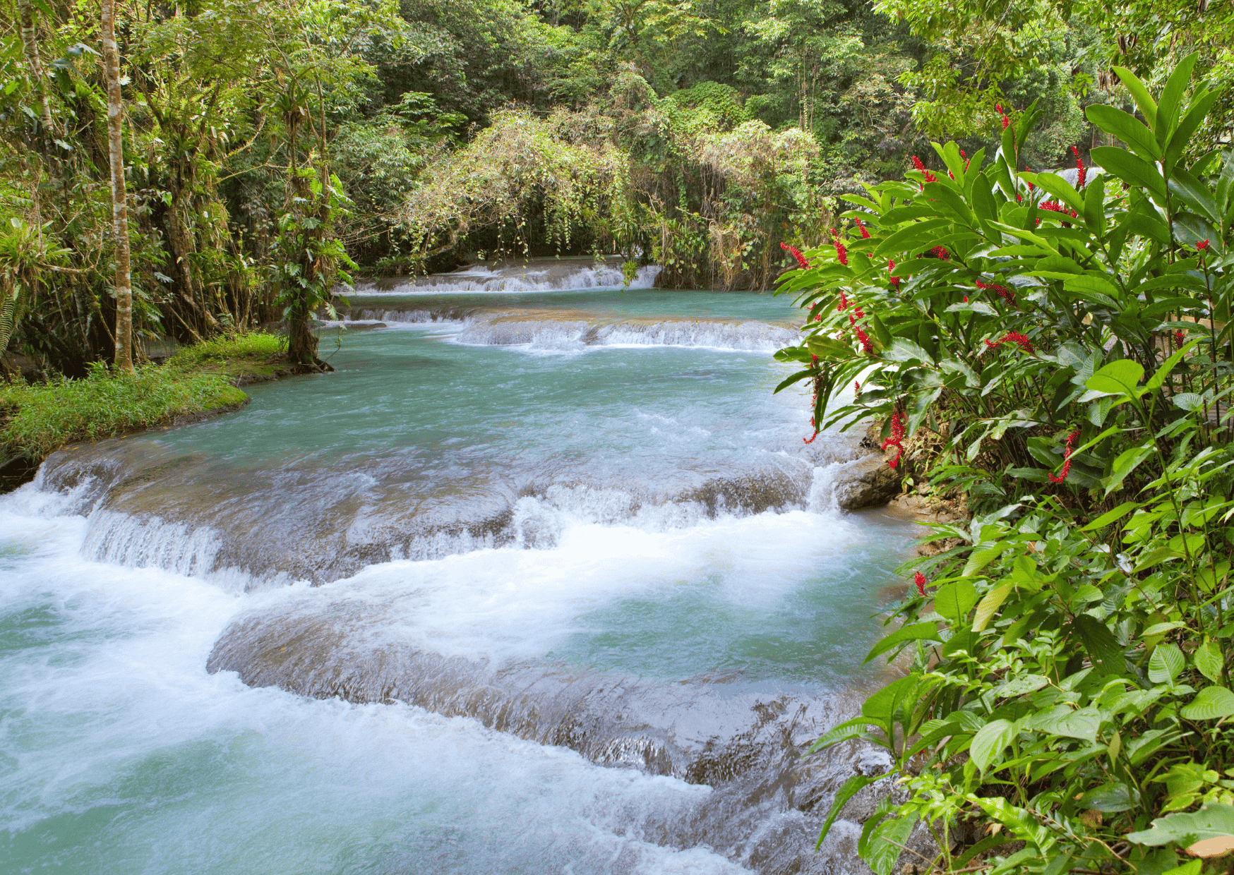 Dunns Waterfalls Jamaica Antigua vs Jamaica